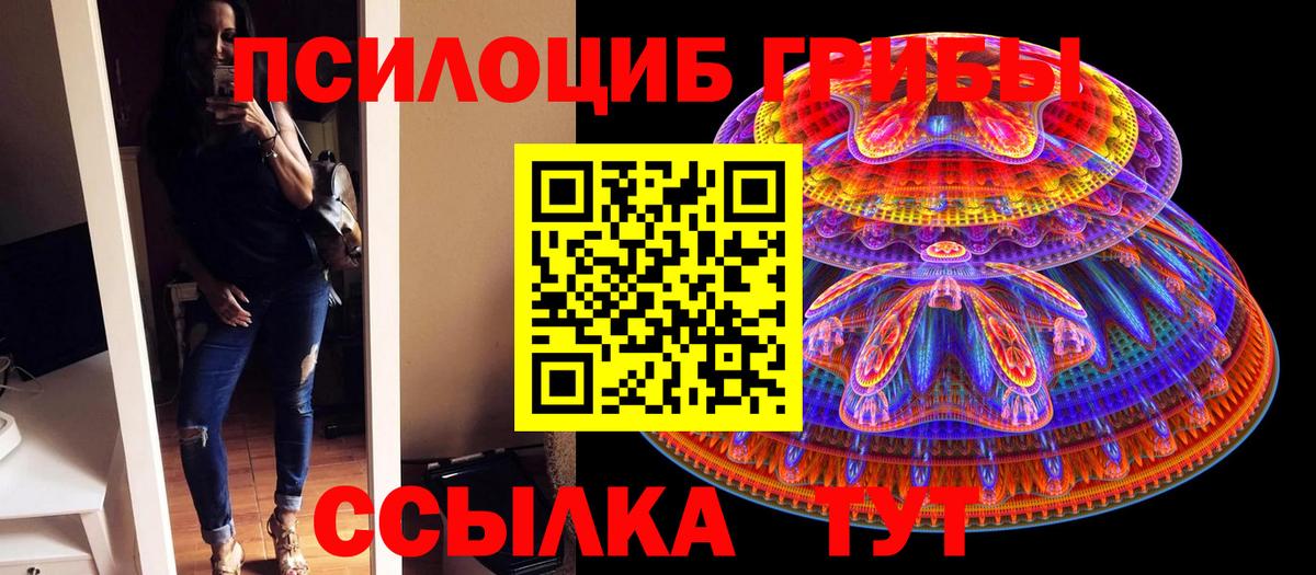 Галлюциногенные грибы Cubensis Сатка